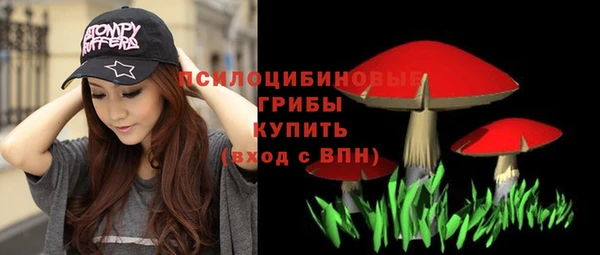 соль курить ск Алзамай