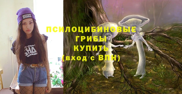 соль курить ск Алзамай