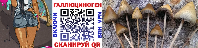Псилоцибиновые грибы Psilocybine cubensis Ува