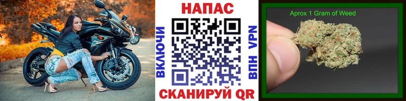 цена Ува Конопля AK-47